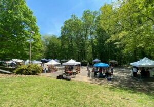 Pop up Mini Fair