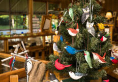 TunnelRoadSHCG_ChelseaLanePhotographyMay2021-11